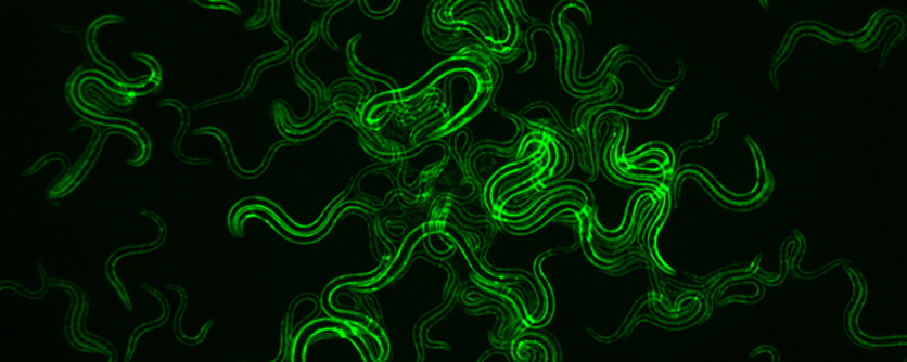 Dr. Christian von Hilchen